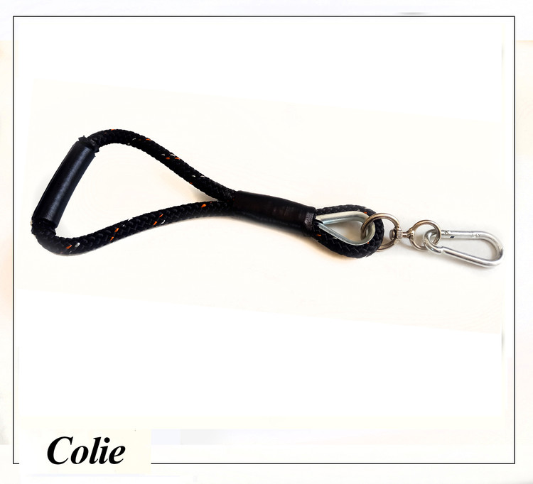 لید همراه کولی تهیه شده از طناب پاراکورد و یراق فولادی مناسب برای سگهای بزرگ و سنگین وزن می باشد.