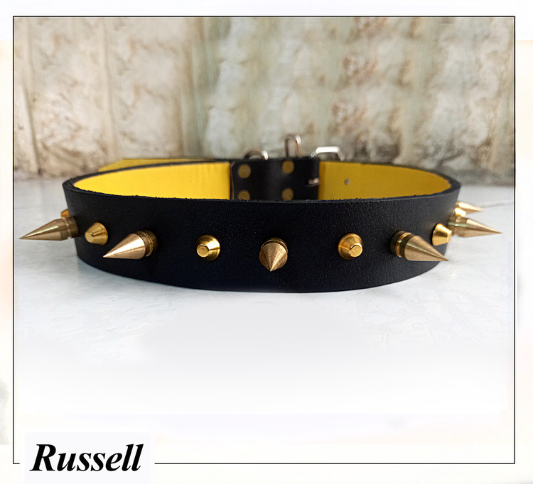 تهیه شده از چرم کاملا طبیعی و یراق فولادی بهمراه گل میخ های برنجی با مقاومت بالا مناسب برای انواع سگ های بزرگ و خشن و سنگین وزن و نگبان و سگ گله