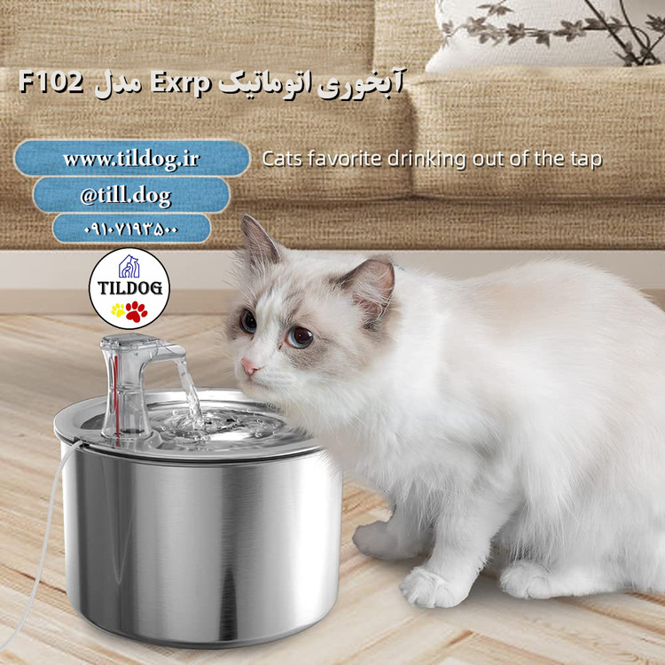 جذب عالی گربه و سگ برای آشامیدن