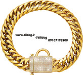 قلاده گردنی لوکس زنجیر سگ  PRADOG مدل ST300 استیل ضد زنگ با قفل زیرکونیایی  منحصر بفرد و جذاب با سنگهای Bling CZ و روکش  طلای 18 عیار