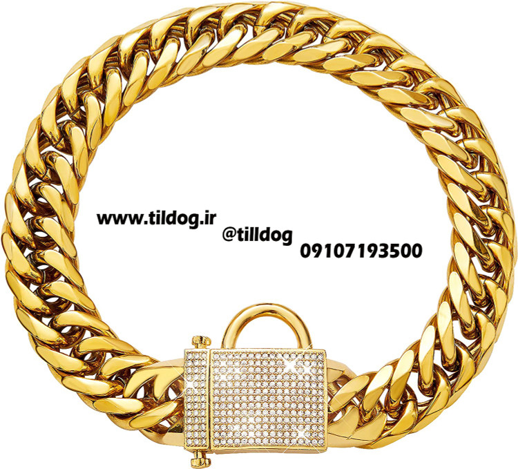 قلاده گردنی لوکس زنجیر سگ  PRADOG مدل ST300 استیل ضد زنگ با قفل زیرکونیایی  منحصر بفرد و جذاب با سنگهای Bling CZ و روکش  طلای 18 عیار
