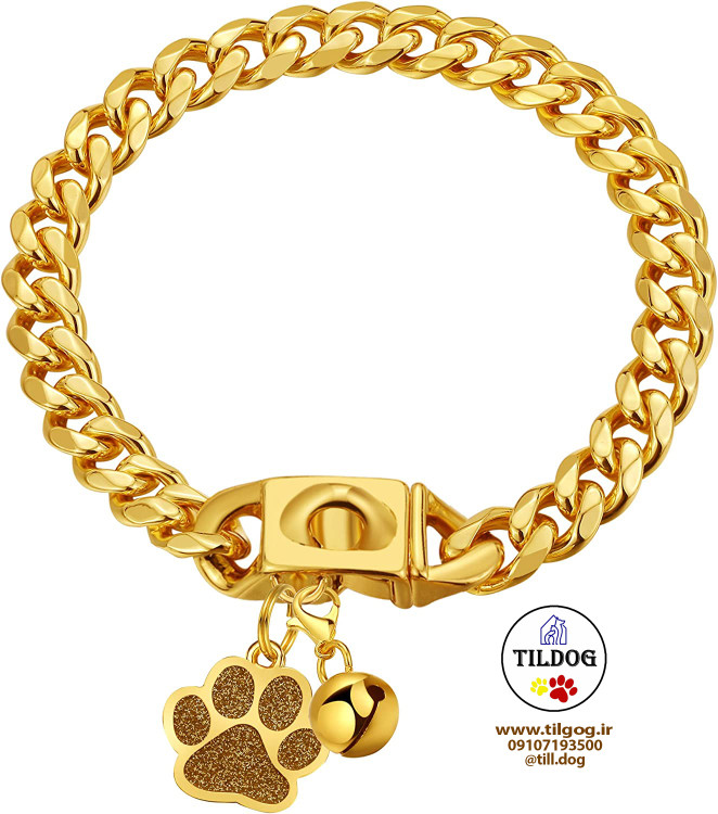 قلاده گردنی لوکس زنجیر سگ Luxlife مدل ST310 زنجیر براق استیل ضد زنگ منحصر بفرد و روکش 5 لایه طلای 18 عیار