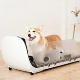 از بروز مشکلاتی مانند چاقی و استقامت ضعیف جلوگیری کرده و به کاهش وزن حیوانات خانگی کمک می کند.