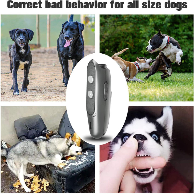 برای متوقف کردن رفتارهای بد سگ های شما مانند پارس کردن ، حفاری، درگیری