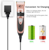 دارای یک باتری لیتیوم یونی می باشد و می تواند70 دقیقه شارژ شود.