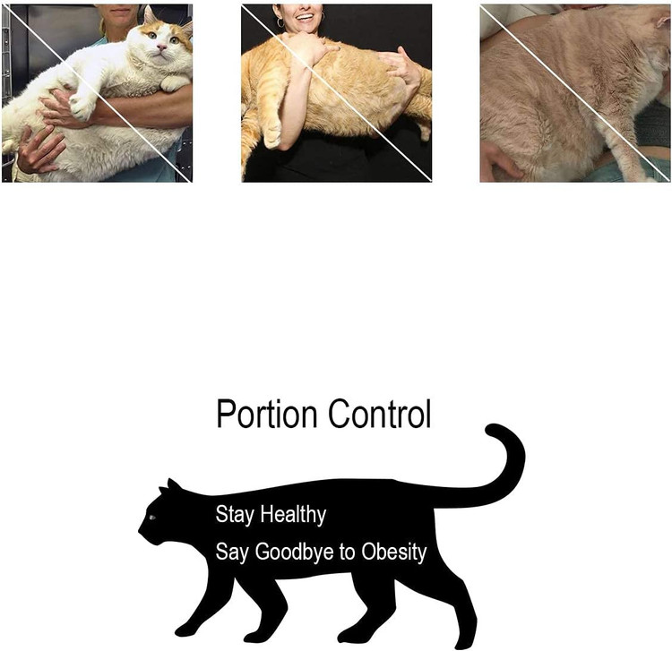 هنگام گم شدن سگ و یا کم شدن غذا را تشخیص داده و به شما هشدار می دهد.