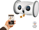 ربات هوشمند جغد، بازی حیوانات خانگی برند SKYMEE کد T80 دارای دوربین متحرک و فول اچدی حیوان خانگی با دیسپنسر، اسباببازی تعاملی برای سگها و گربهها، با ویژگی کنترل موبایل از طریق برنامه (WiFi 2.4 گیگاهرتز)