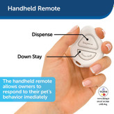 قبل از هر چیز دیگری، سگ خود را آموزش دهید تا توجه و تماس چشمی خود را به شما بدهد.