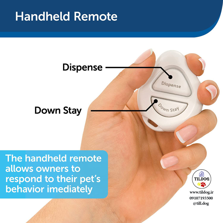 قبل از هر چیز دیگری، سگ خود را آموزش دهید تا توجه و تماس چشمی خود را به شما بدهد.