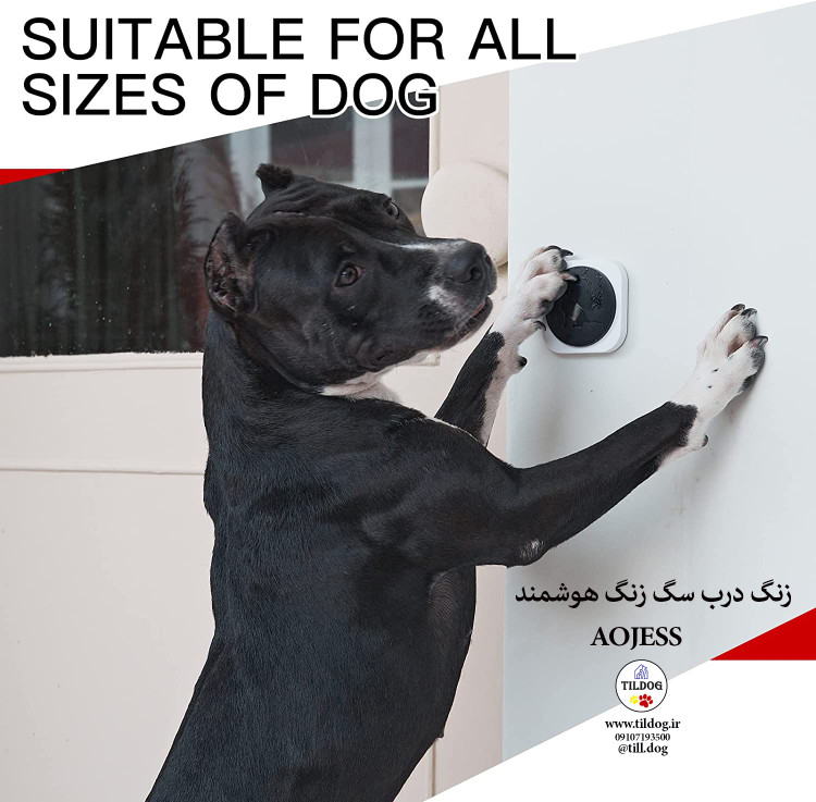 لازم نیست نگران کوبیدن زنگ سگ به طور مداوم از دیوار/در، یا شکستن آن توسط حیوان خانگی خود باشید.