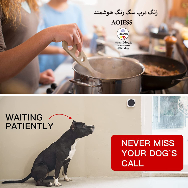 از این زنگ برای آموزش سگ ها استفاده می شود، به جای خاراندن یا حتی گاز گرفتن، دکمه را در زمانی که سگ شما باید به خانه/بیرون برود، لمس کنید.