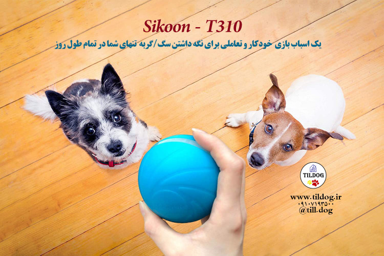 اجازه دهید زمان بازی شروع شود و توپ شرور با هر سطحی سازگار شود!