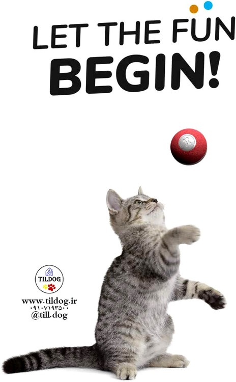 زمانی که حیوان آن را با بینی یا پنجه هایش لمس می کند، به خودی خود می چرخد. بدون برنامه، بدون نیاز به کنترل!