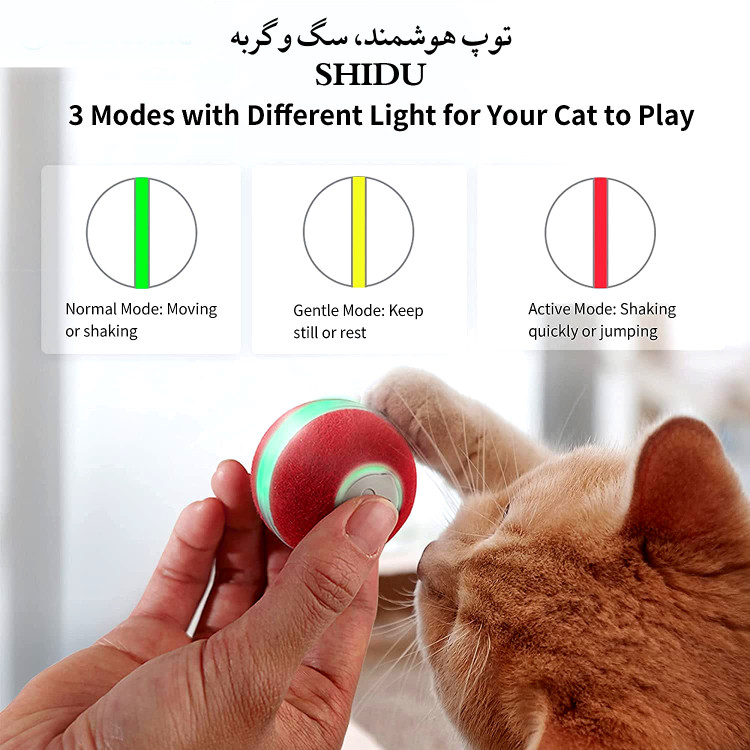 این توپ جادویی به طور متفاوتی می چرخد و می پرد