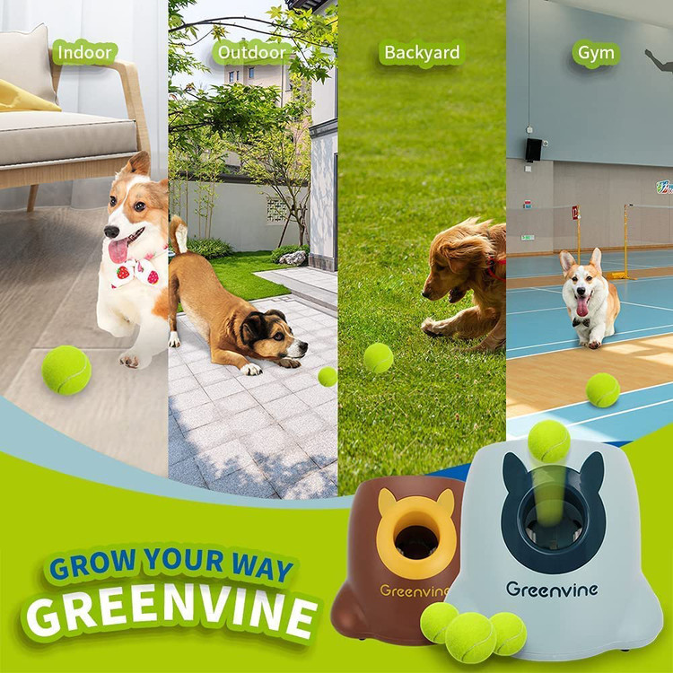 طراحی خلاقانه به سگ شما اجازه می دهد تا این بازی را حتی زمانی که شما در اطراف حیوان نیستید انجام دهد