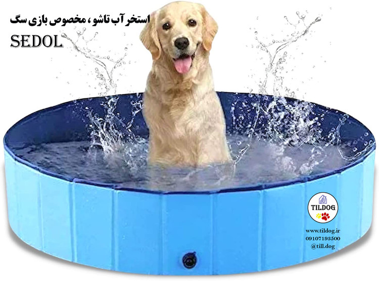 استخرآب تاشو ، مخصوص بازی سگ Sedol کد: V510