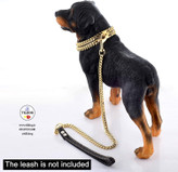 بدون زنگ زدگی یا کدر شدن ،مناسب سگ های نر و ماده  در نژادهای متفاوت قابل استفاده می باشد .