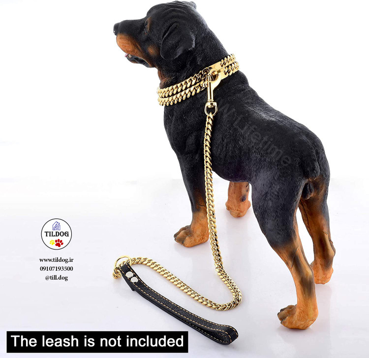 بدون زنگ زدگی یا کدر شدن ،مناسب سگ های نر و ماده در نژادهای متفاوت قابل استفاده می باشد .