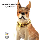 قلاده طلایی زنجیره ای لوکس سگ برند w/w Lifetime  کد ST330