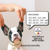 نوع بسته شدن قلاده بصورت دکمه ای است و دارای نگین بسیار زیبا و براق است که بهتر است برای جلوه بیشتر زیر نور آفتاب قرار گیرد.