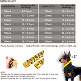 قلاده زنجیر کوبایی با روکش طلا 18 عیار بسیار قوی برای سگهای نر و ماده جذاب به نظر میرسد.