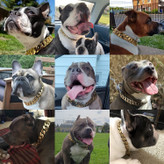 این قلاده ضد لغزش از جنس استنلس استیل هرگز پوست را تحریک نمی کند