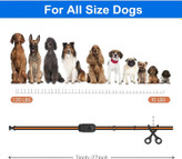 قلاده آموزش سگ، ابزار بسیار موثر آموزش سگ ما در مراحل اولیه آموزش سگ است.