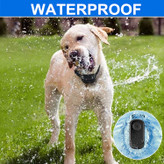 زمانی که سگ صدای صاحب و دستوراتش را قضاوت نمی کند، ما از قلاده آموزش سگ برای جلب توجه و آموزش سگ استفاده می کنیم. از جمله تماس تلفنی، نشستن، توقف پارس کردن و غیره (فراموش نکنید که به سگ خود پس از پایان آموزش مقداری غذا به عنوان جایزه بدهید)