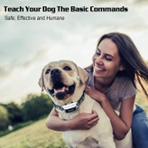 اگر سگ شما دوست دارد با آب بازی کند، نگران نباشید، قلاده ضد آب IPX7 به مدت نیم ساعت در عمق 3.2 فوتی آب باقی می ماند و عملکرد آن تحت تأثیر قرار نمی گیرد