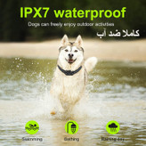 مناسب انواع سگ ، کاملا ضد آب قابل شارژ و کنترل از راه دور می باشد.