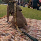 زنجیر سگ لوکس طوری طراحی شده است که کاملاً با قلاده سگ لوکس ما مطابقت داشته باشد تا ظاهری واقعاً برجسته داشته باشد.