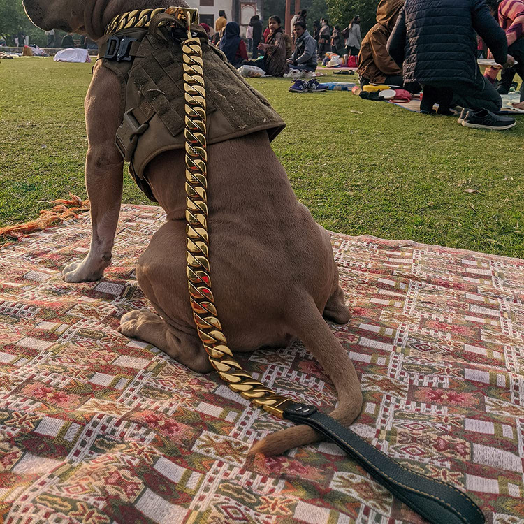 زنجیر سگ لوکس طوری طراحی شده است که کاملاً با قلاده سگ لوکس ما مطابقت داشته باشد تا ظاهری واقعاً برجسته داشته باشد.