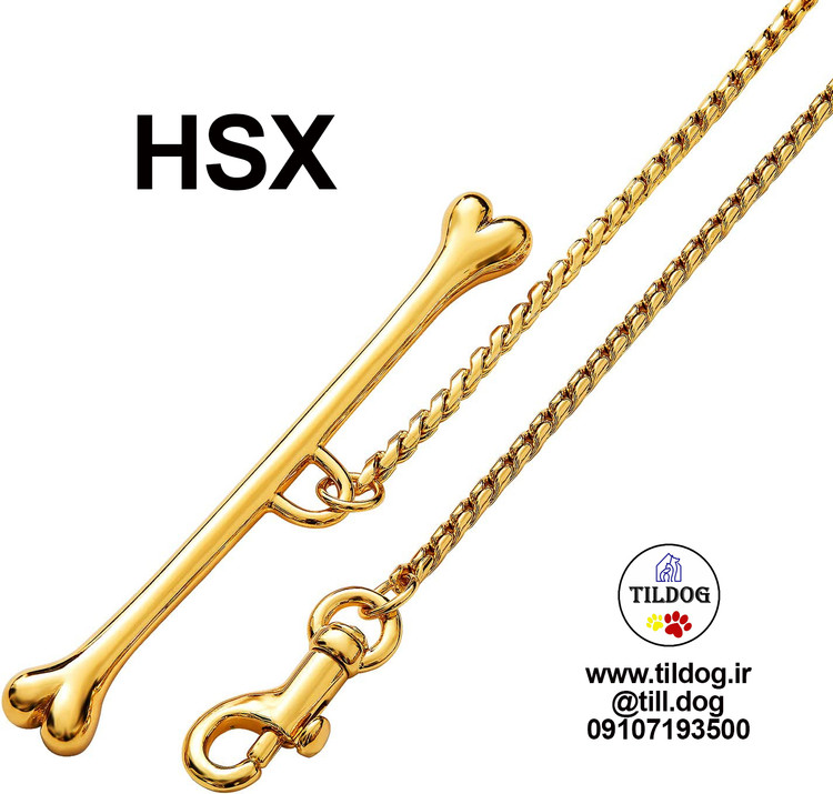 بند زنجیر سگ از فولاد ضد زنگ جامد ساخته شده است که با طلای واقعی 18 عیار ضخیم آبکاری شده است