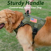 این اطمینان را ایجاد می کند که سگ شما در آموزش، شکار، کار و هر موقعیت دیگری به طور ایمن مهار شود