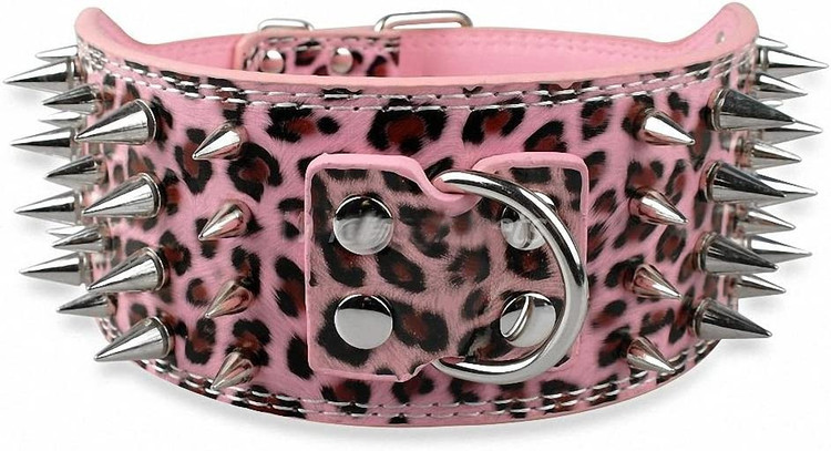 طراحی ، کیفیت و کاربرد آن ویژگی های این قلاده را تکمیل می کند