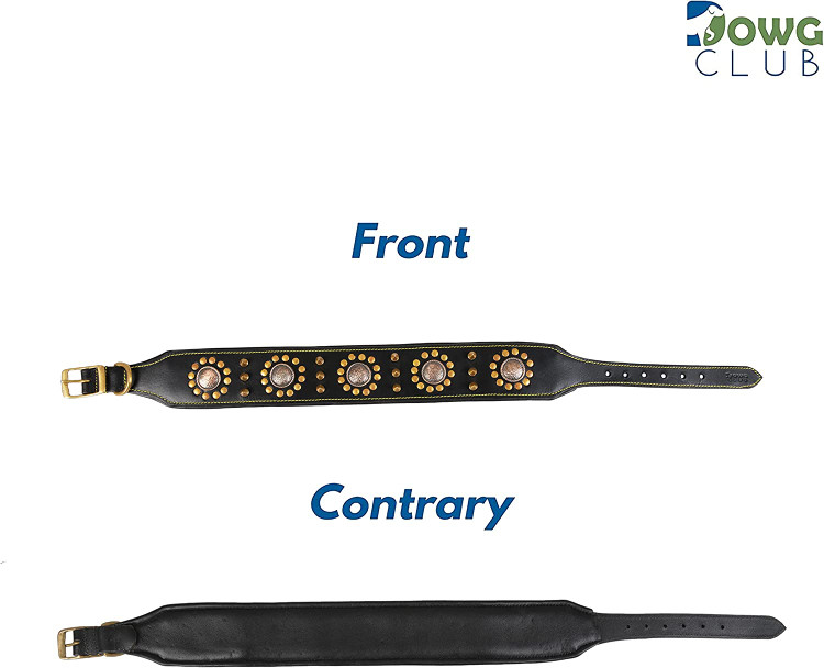 مجموعه ای از چرخ دنده های سگ نشکن با کیفیت بالا ما از بهترین و منتخب پوست چرم هندی ممتاز ساخته شده است.