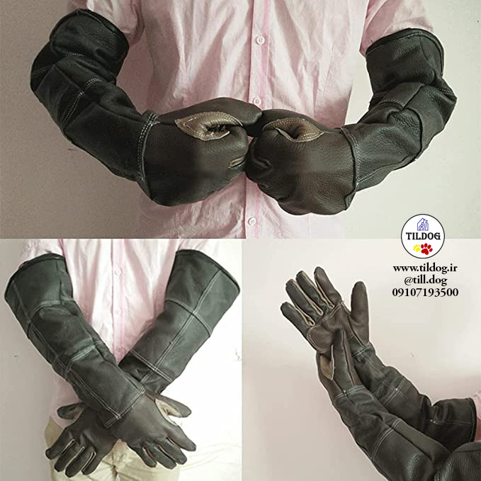 اندازه: 60 سانتی متر. محتویات بسته: یک جفت دستکش.