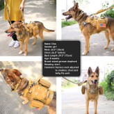 چسباندن به کیسه تکه ها و غیره. قسمت سینه و شکم بهتر از شکم ظریف سگ محافظت می کند و وزن سگ را پشتیبانی می کند.