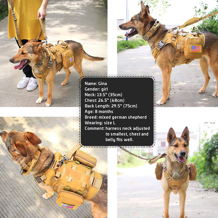 چسباندن به کیسه تکه ها و غیره. قسمت سینه و شکم بهتر از شکم ظریف سگ محافظت می کند و وزن سگ را پشتیبانی می کند.