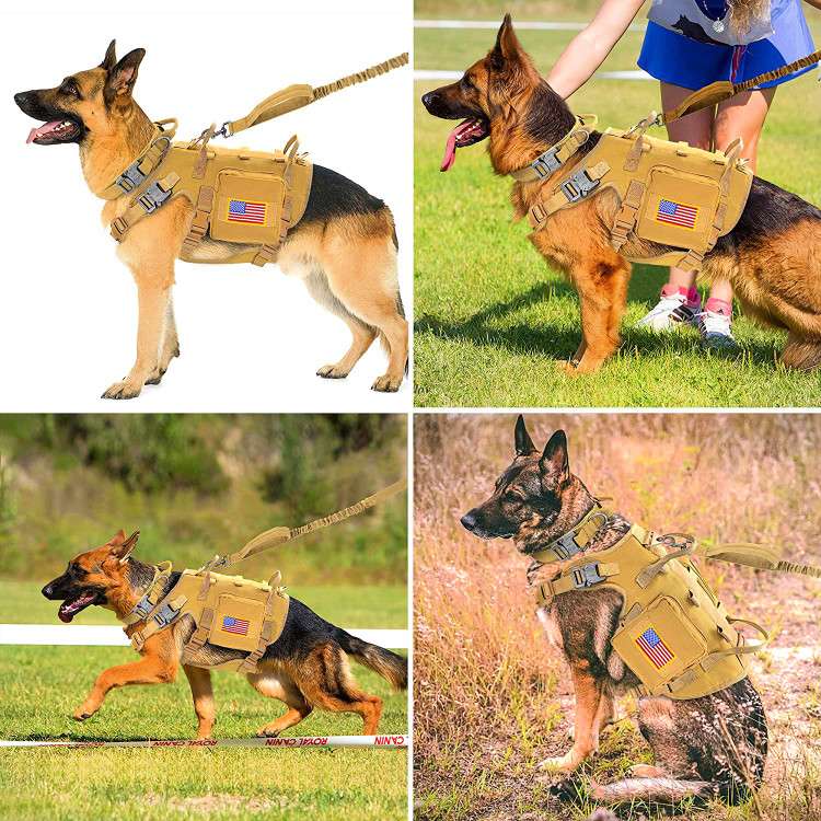 مهار با 2 سگک فلزی قوی، هر خرس 1000 لیتری، هر سگک نایلونی پس از آزمایش 120 لیتری، حلقه های 2 بعدی و 2 دسته در پشت کنترل بهتری را به ارمغان می آورند؛ سیستم مول جانبی برای این منظور طراحی شده است.