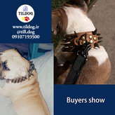 چرم PU با کیفیت بالا قوی و بادوام، محکم و مقاوم در برابر سایش، پرچ های مسی قدیمی زنگ زده نیستند، مد یکپارچه سازی با سیستم عامل