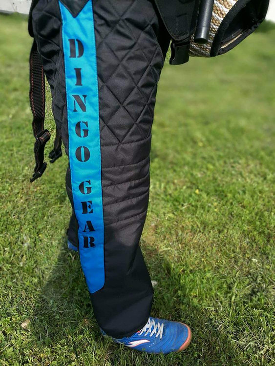 آزادی حرکت در طول آموزش سگ