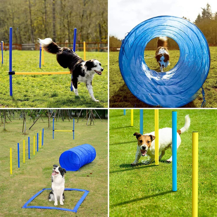 تجهیزات آموزش چابکی سگ، با مواد درجه یک ساخته شده است تا در هر زمان از روز و در هر فصلی از سال استفاده شود زیرا در برابر ضربه و رطوبت مقاوم هستند