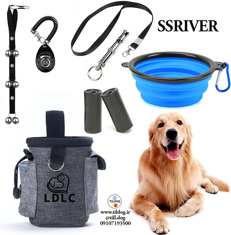 ست آموزش توله سگ برند SSRIVER کد B300