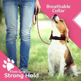 ست قلاده و افسار توله سگ صورتی این یک بسته شروع کننده توله سگ دختر عالی با زنگ هایی است که سگ ها برای بیرون رفتن و وسایل مورد نیاز سگ در خانه یا مسافرت با توله های خود به صدا در می آیند