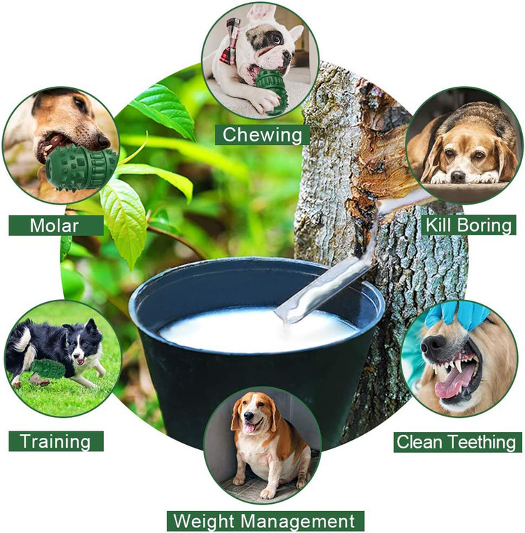 سگ شما حس رضایت بخشی جویدن این اسباب بازی بی نظیر به شکل بطری گاز را دوست خواهد داشت