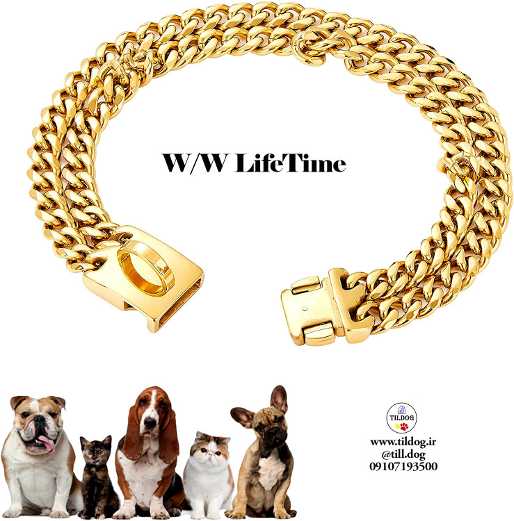 قلاده زنجیر فلزی پیاده روی با طراحی سگک ایمن، 18 عیار جویدنی محکم کوبایی پیوند قوی برای سگ های متوسط آمریکایی پیتبول ژرمن شپرد (20 میلی متر، 24 اینچ)