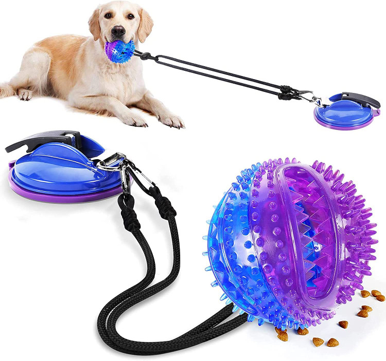 اسباببازی جویدن سگ کاپ مکنده برند: KASTWAVE کد: AB 310