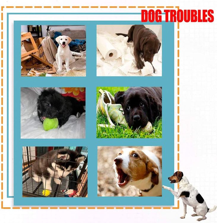 بسته 10 عددی، اسباب بازی های مخمل دار با خاصیت جویدن جیر جیر سگ برای بی حوصلگی، دندان درآوردن توله سگ ، برای سگ های متوسط تا کوچک