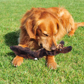 این اسباببازیها برای هر موقعیتی مناسب هستند، به اندازهای نرم هستند که سگ وقتی خسته است سرش را روی آن بگذارد